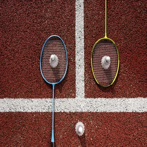 batminton court icon